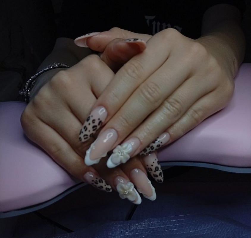 Leopard
